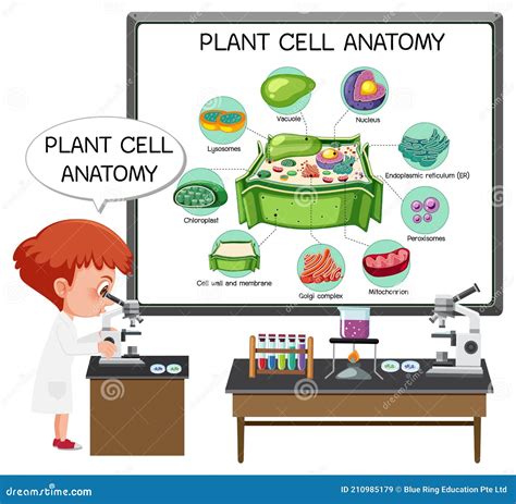 Biology Cartoon 的图像结果