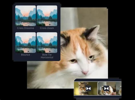 Image result for Downloadable Video Transitions