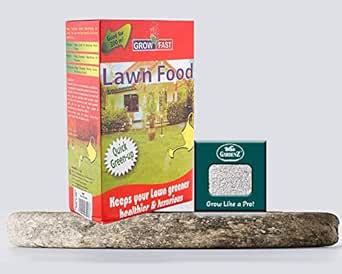 Growfast Grow Fast Lawn Food - 1kg + Agricultural Perlite Box (10 LTR ...