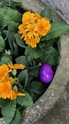 Image result for Kindness at Easter