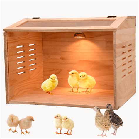 Image result for Large Chicken Brooder
