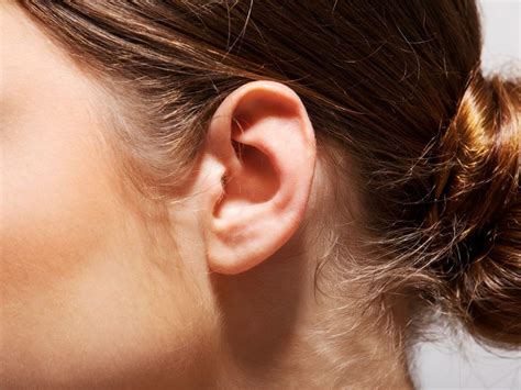 Image result for Ear Sound