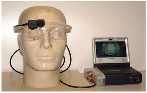 Visual Perception and Understanding of Variable Message Signs: The ...