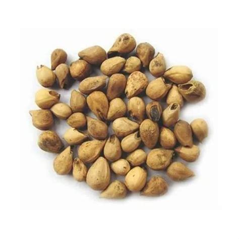 Seeds - Stylosanthes Hamata Seeds Trader - Retailer from Chikkaballapur