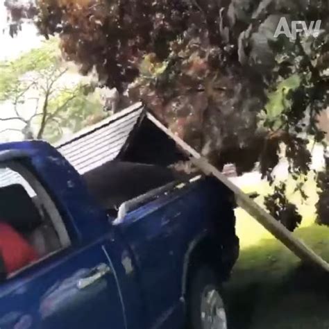 IP Camera Cheating 的图像结果