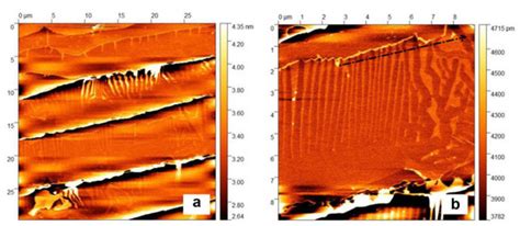 Effect of Polar Faces of SiC on the Epitaxial Growth of Graphene ...