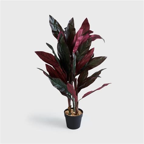 Buy Gardenia Dracaena Artificial Plant in Pot from Home Centre at just ...
