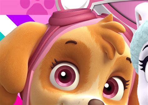 Paw Patrol en Rosa: Fondo para Photo Call para Imprimir Gratis. - Ideas ...