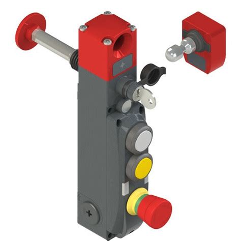 Pizzato NG 2D6D511C-F31LP60 NG series safety switch with lock and inte ...