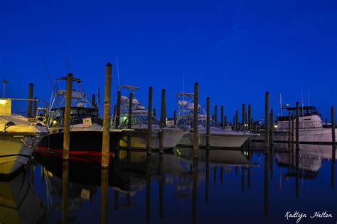 Perdido Key Oyster Bar and Marina