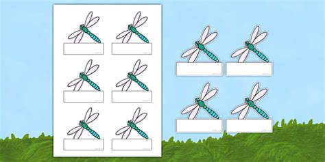 Dragonfly-Themed Editable Self-Registration Labels - Twinkl