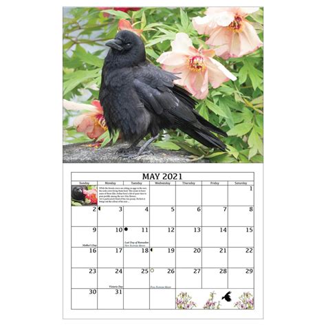 Crow Wing County Court Calendar 2024 - USCourtCalendar.com