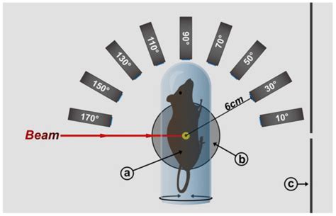 Feasibility of Monitoring Tumor Response by Tracking Nanoparticle ...