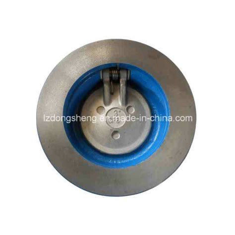 China Cast Lron Wafer Type Single Disc Swing Check Valve - China Cast ...