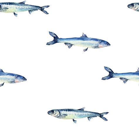 Anchovies small fish on watercolor seamless pattern isolated fresh sea ...