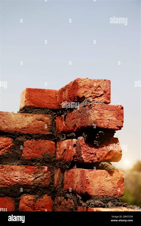 Image result for Brick Color Randomizer Script