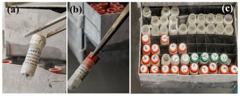 Plants, Cells, Algae, and Cyanobacteria In Vitro and Cryobank ...
