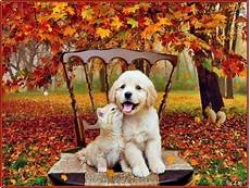 Fall Backgrounds Dogs by Falling For Fall Wayside Waifs Fall Backgrounds Dogs