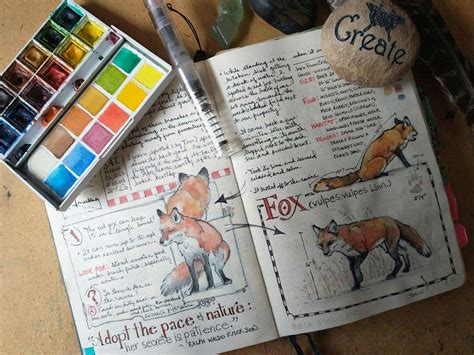 Nature Journaling workshop: Using numbers in your journal, Northern ...