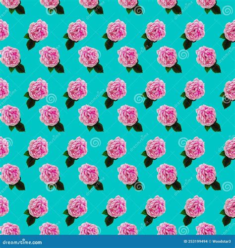 Seamless Pattern with Hand Drown Pink Roses on Turquoise Background ...