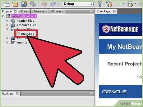 Netbean C Tutorial 的图像结果
