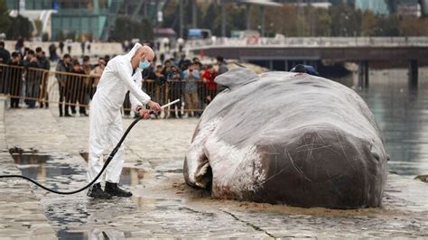 Dubai hit by heavy rain, thunderstorm again; Abu Dhabi waterlogged ...