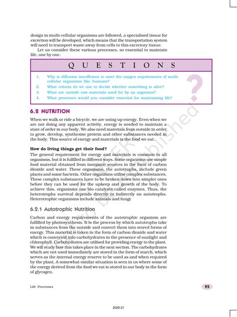 Class 10 Chapter 6 Explained 的图像结果