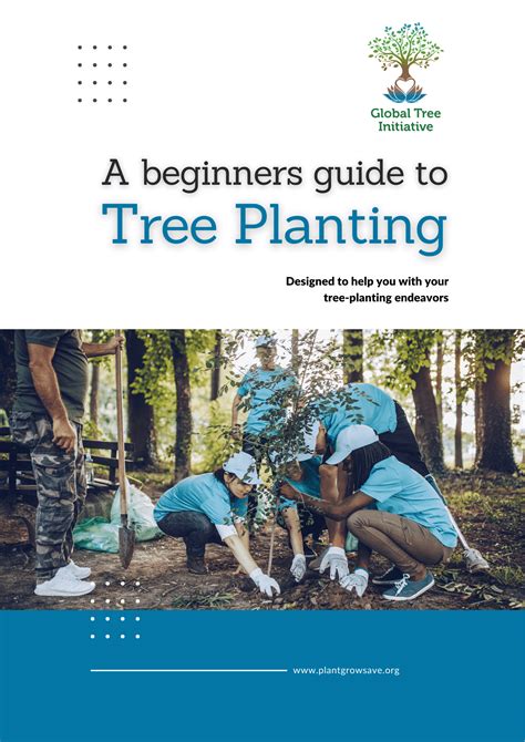 Image result for Tree Planting Guide