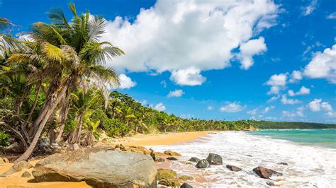 Exotic carribean shore of Flamenco beach on the Caribbean island of ...