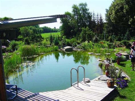 Using a Pool as a Pond 的图像结果