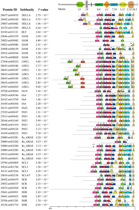 Genome-Wide Identification, Evolutionary Analysis, and Stress Responses ...