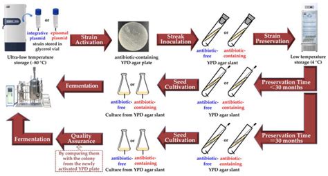 Influence of Long-Term Agar-Slant Preservation at 4 °C on the ...