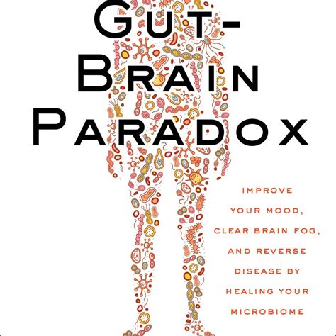 The Gut-Brain Paradox by MD, Steven R. Gundry – Book Hero
