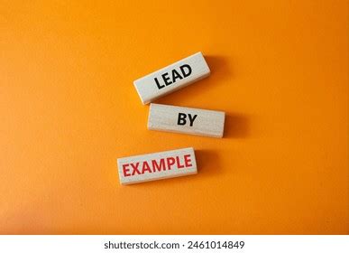 Image result for Lead Bij Example