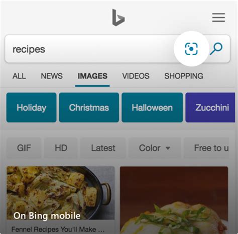 Bing Image Search 的图像结果