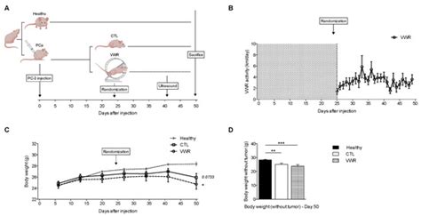 Cancers | Special Issue : Prostate Cancer Radiotherapy: Recent Advances ...