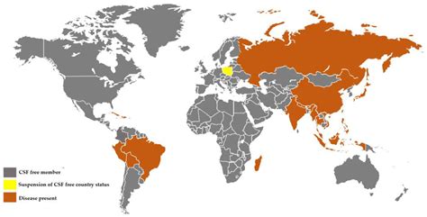 The Development of Classical Swine Fever Marker Vaccines in Recent Years