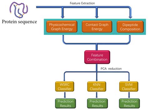Protein-Protein Interactions Prediction Based on Graph Energy and ...