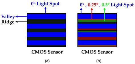 A Hidden Fingerprint Device on an Opaque Display Panel