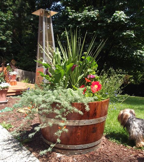 Large Whiskey Barrel Planters - wafiqurina