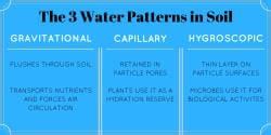 Soil Water for you - NEET PDF Download