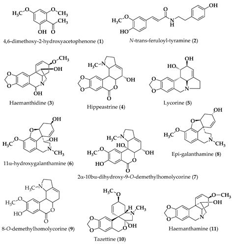 Amaryllidaceae-Type Alkaloids from Pancratium maritimum: Apoptosis ...