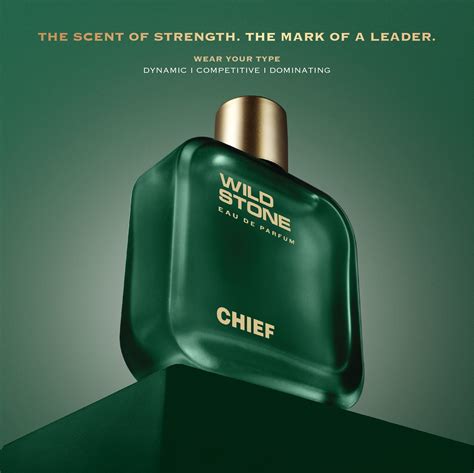 Wild Stone Chief Perfume for Men 100 ml | Wild Stone