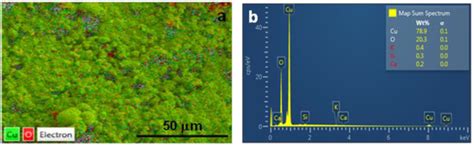Adsorption Studies of Arsenic(V) by CuO Nanoparticles Synthesized by ...
