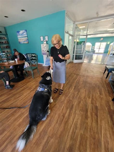 Image result for Advanced Management Group Properties