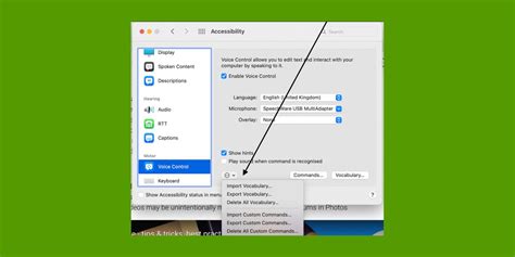 MacBook Voice Control 的图像结果