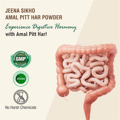Amal Pitt Har Powder | Ayurvedic Gut Health Powder