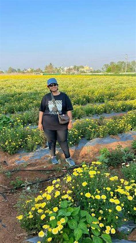 Plus Size Black Essential Tummy Shaper Jegging Online in India | Amydus