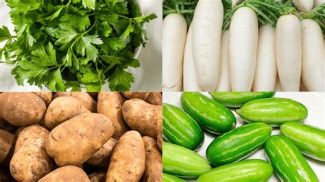 12 Vegetable Names that Start with I: A Complete List - The Classy Chapter
