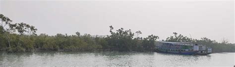 Why do tourists prefer to visit Sundarban again and again?